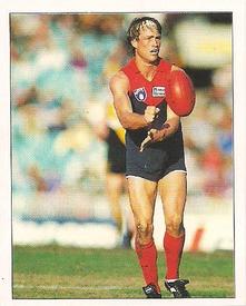 1994 Select AFL Stickers #167 Todd Viney Front
